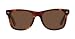 Classic Tortoise Wayfarer Style Sunglasses