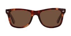 Classic Tortoise Wayfarer Style Sunglasses