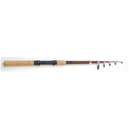 Proton Telescopic Spin Rod