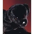 Review Douglas Cuddle Toys 1805 / Plush Chester Black Lab 16