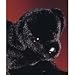 Plush Chester Black Lab 16