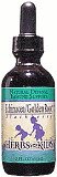 Echinacea/Golden Root Blackberry Flavor ( 2 FL Oz ) ( Alcohol-Free ) Herbs For Kids