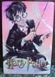 Harry Potter Magnet Harry with Wand