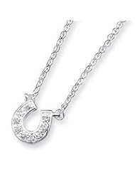 Sterling Silver Horseshoe CZ Necklace