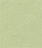 Crdsk 12''X12'' Bazzill 50/PK-Cucumber