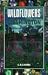 Book Wildflowers of Washington: Revised Second Edition