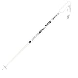 Rossignol SAS 5000 Ski Poles