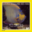 カリブ海の宝石 [DVD]