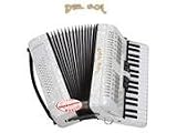 DEL SOL PIANO ACCORDION 48 BASS 34 KEYS 5 SWITCH GREY