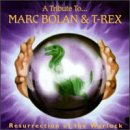 Revue Various Artists  / Resurrection of the Warlock: A Tribute to Mark Bolan & T. Rex