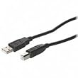 C2G / Cables to Go 28102 USB 2.0 A Male to B Male Cable, Black (6.5 Feet/ 2 Meters)
