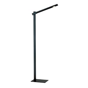 Adesso 3654-01 Reach Floor Lamp, Black by Adesso