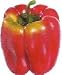 RED PEPPER Fake Food