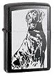 Labrador,Black Ice