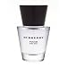 Burberry Touch For Men