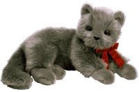 TY Beanie Buddy - BEANI the Cat
