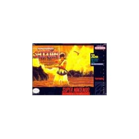 Samurai Shodown