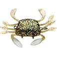 Wildeye Live Swim Crab Fiddler Crab