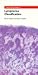 Books : The Pocket Guide to Lymphoma Classification