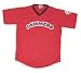 Minor League Baseball Jamestown Jammers V Neck Adult Jersey