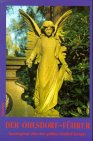 Der Ohlsdorf- F&uuml;hrer - Spazierg&auml;nge &uuml;ber den gr&ouml;&szlig;ten Friedhof Europas - Barbara Leisner, Helmut Schoenfeld