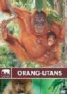 Eigenschaften WVG Medien GmbH  / Safari - Orang Utans