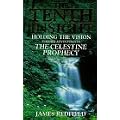 The Tenth Insight: Holding the Vision - Further Adventures of the Celestine Prophecy