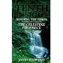 The Tenth Insight: Holding the Vision - Further Adventures of the Celestine Prophecy