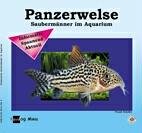 Mein Panzerwels - Frank Sch&auml;fer