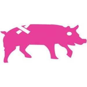 Pink Burton Snowboard