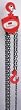 Dayton 1VW56 Hoist, Chain, 1T, 15Ft Lift