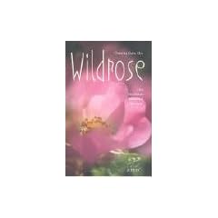 Die Wildrose. Eine Heilpflanze verwandelt das Feuer