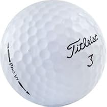 24 Titleist Pro V1 AAA+ Used Golf Balls