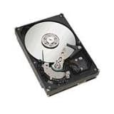 Seagate Barracuda 7200.10 - Hard drive - 250 GB - internal - 3.5' - SATA-300 - 7200 rpm - buffer: 8 MB