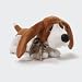 Animated Basset Hound
