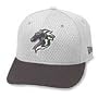 Minor League Baseball Cap - Charlotte Knights Batting Practice Cap by New Era