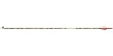 1 Dozen Gold Tip Hunter Expedition Arrow Shafts Realtree APG HD