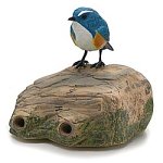 野鳥の森 (ルリビタキ)