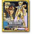 Saint Seiya Saint Cloth Myth Aquarius Camus Action Figure