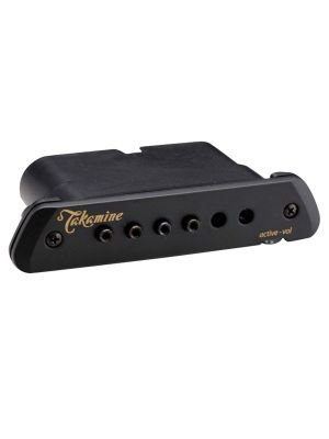 Takamine Triaxial Active Soundhole Pickup On Sale
