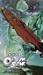 Search : Outlaw Star 8: Seven Emerge