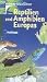 Reptilien und Amphibien Europas