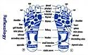 Handy Credit Card Sized Reflexology Reference