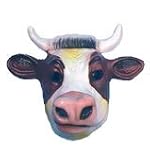 Review UKPS  / Cow Face Mask