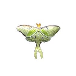 Clearly Charming Luna Moth Silver and Enamel Pin