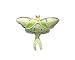 Clearly Charming Luna Moth Silver and Enamel Pin