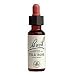 Bach Essence Wild Rose 20 Liquids