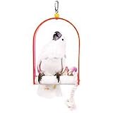 Swing with Rope Acrylic Frame for Medium Birds by Penn Plax