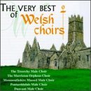 Produkt-Bild: Very Best Of Welsh Choirs [US-Import]