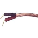 Original Monster Cable Clear Jacket - High Performance Speaker Cable - 10 ft. pair - 3.04 m.